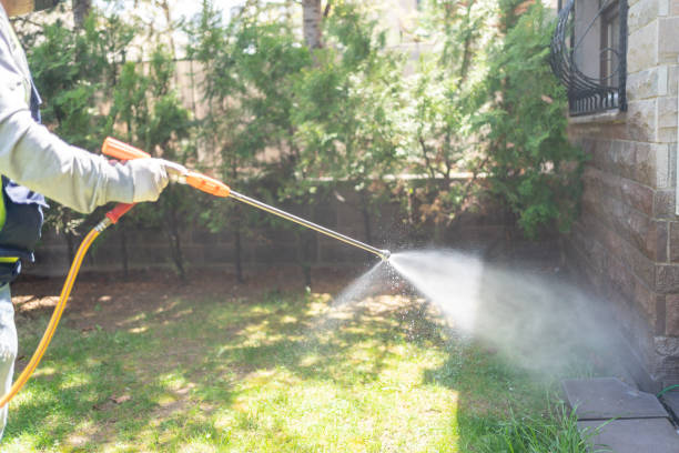 Best Flea Control Services  in Steamboat Springs, CO